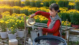 Start your visa-prepared journey with Da Nang’s vibrant glow